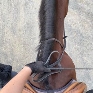 Meet your Posher, Sophia